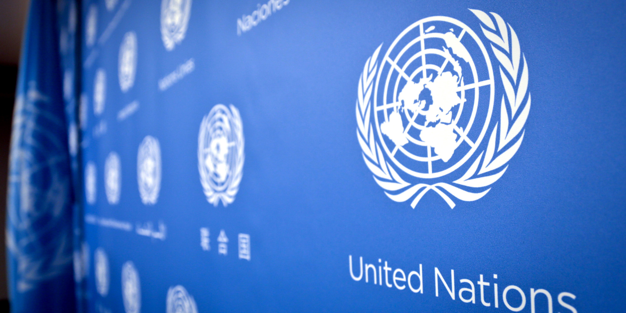 The united nations organization презентация